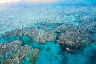 4-Hour Snorkelling Tour of Ras Mohamed National Park from Sharm