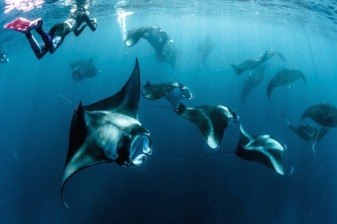 8-Day Maldives Adventure Tour with Rasdhoo Water Sports and Male