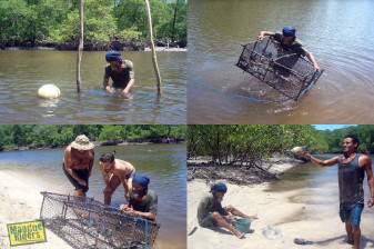 9-Hour Nature Tour of Morro de São Paulo with Mangrove Fishermen