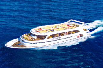 4-Hour Marsa Alam Snorkelling Cruise with BBQ at Turtle Bay