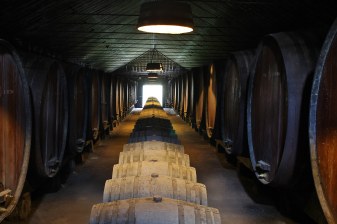6-Hour Private Setúbal Wine Tasting Tour from Lisbon with Arrábida