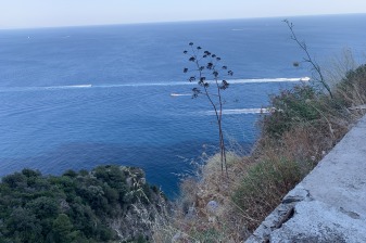 Tour privato di 1 giorno a Positano, Sorrento e Pompei in minivan