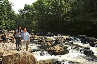 12-Hour Taman Negara National Park Tour with Canopy Walk and Rapids