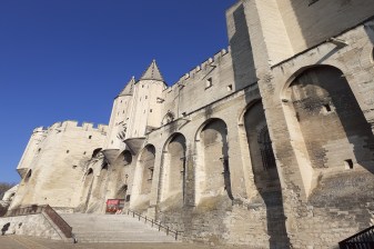 2-Hour Avignon Walking Tour with the Popes' Palace Visit