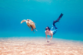 8-Day Marsa Alam Snorkelling Vacation with Wadi El Gamal