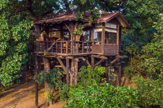 7-Day Wildlife Safari in Pench, Nagzira and Rukhad Forests