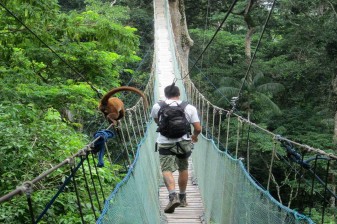 8-Hour Amazon Jungle Adventure from Puerto Maldonado with Canopy
