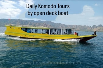 1-Day Komodo National Park Island Hopping Tour with Manta Point