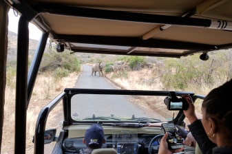 9-Hour Pilanesberg National Park Safari with Big Five Wildlife