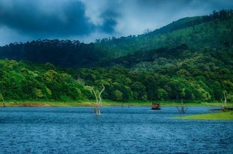 7-Day Kerala Tour through Munnar Thekkady Vagamon and Kumarakom
