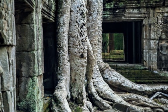 4-Day Angkor Complex Tour in Siem Reap with Beng Mealea