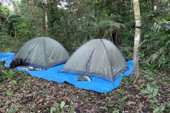 7-Day Pacaya-Samiria Wildlife Tour from Iquitos with Jungle Camping