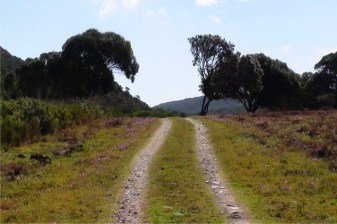 4-Hour Goukamma Nature Reserve Bird-Watching Tour from Buffels Bay