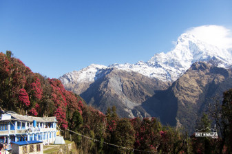 8-Day Ghorepani Poon Hill Trek with Pokhara and Ghandruk Stay