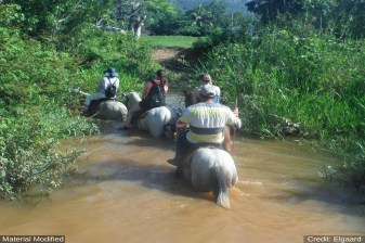 11-Day South Brazil Tour with Iguazu Falls, Rio and Colonial Towns