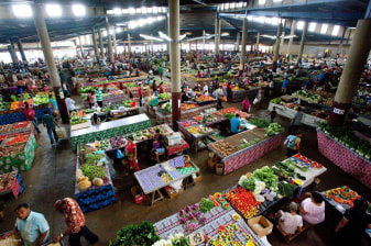 4-Hour Nadi Sightseeing Tour with Viseisei Village and Sabeto Option