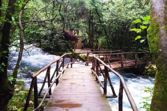 6-Hour Konavle Valley and Cavtat Tour from Dubrovnik with Fortress