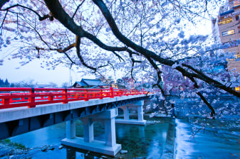 2.5-Hour Private Walking Tour of Takayama Old Town and Shrines