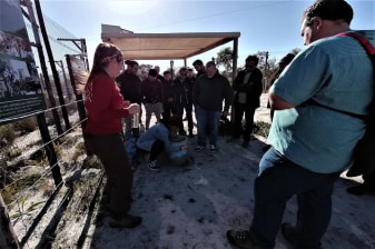 3-Day Wildlife and Wine Tour of Hermanus, Gansbaai and Grabouw