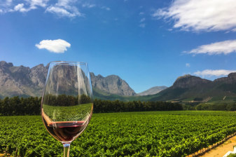 8-Hour Cape Winelands Tour with 3 Tastings in Paarl and Stellenbosch