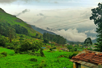 4-Day Ooty and Tamil Nadu Sightseeing Tour with Mudhumalai Safari