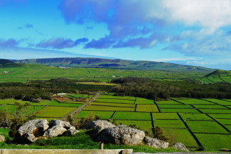 7-Hour Terceira Island Volcano Tour with Cheese Factory Visit