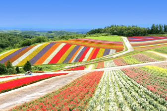 12-Hour Biei and Asahikawa Tour from Sapporo with Blue Pond