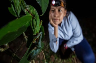 4-Hour Tambopata Night Walk from Puerto Maldonado with Sunset
