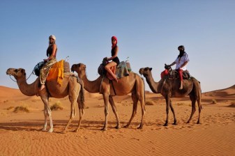 10-Day Morocco Desert Tour from Casablanca with Imperial Cities