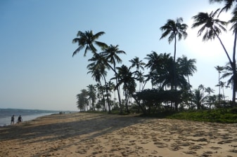 1-Day Coconut Coast and Praia do Forte Tour from Salvador