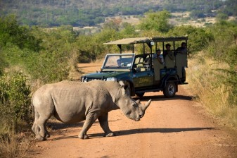3-Day Pilanesberg Safari Tour with Sun City and Lodge Stay