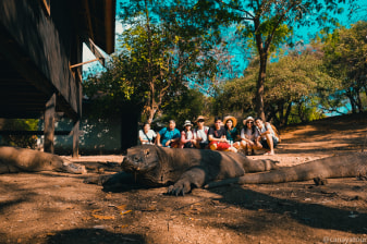 3-Day Komodo National Park Cruise with Komodo Dragons and Manta Rays
