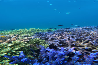 10-Hour Lombok Gili Islands Snorkeling Tour by Private Boat
