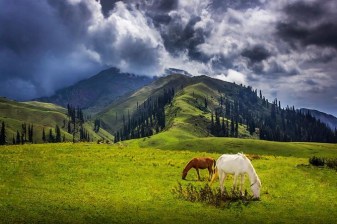 4-Day Kaghan Valley Tour with Shogran, Saif-ul-Maluk and Babusar