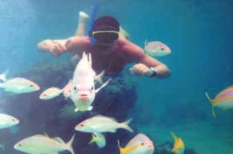 1-Day Maracajaú Snorkelling Tour from Natal with Coral Reef Access