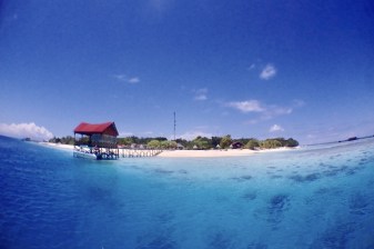 8-Hour Snorkelling Tour of Timba Timba, Mataking and Pom Pom