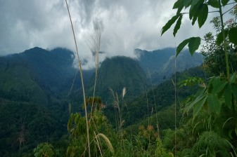 5-Day Meratus Mountains Trek and Banjarmasin Tour with Floating Market