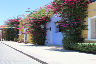 5-Hour Cabo San Lucas and San José del Cabo Tour with Tequila Tasting