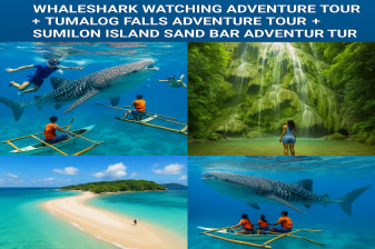 12-Hour Cebu Whale Shark and Moalboal Snorkelling Tour with Tumalog Falls