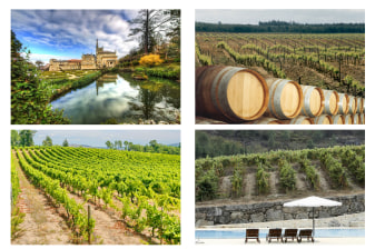 8-Hour Dão Wine Tour from Porto with Caminhos Cruzados Tasting