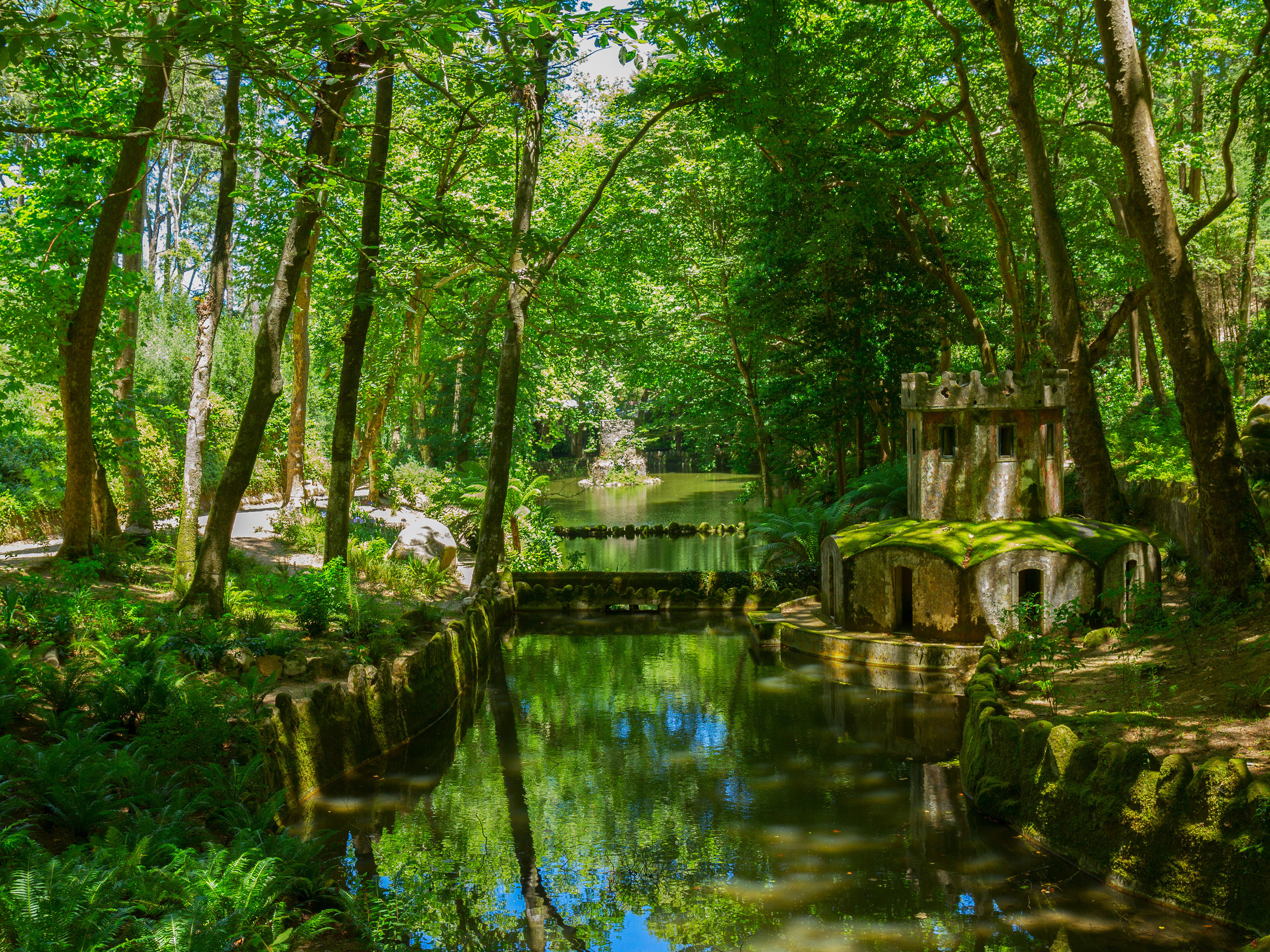 Lush, romantic gardens within Pena Park in Sintra, Portugal, featuring exotic plants and winding pathways.