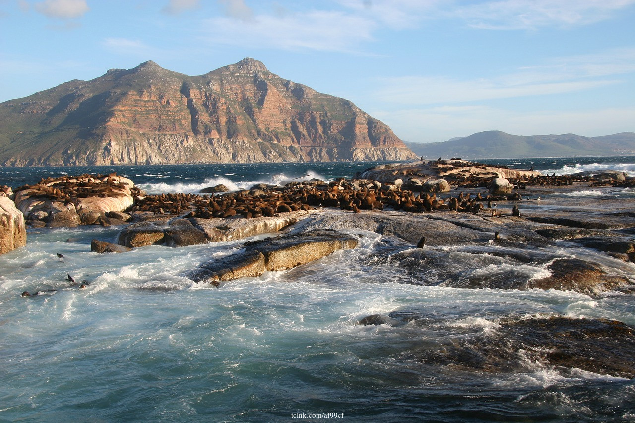 Duiker Island Hout Bay Harbour Seal Island Boat Trips Cape Town