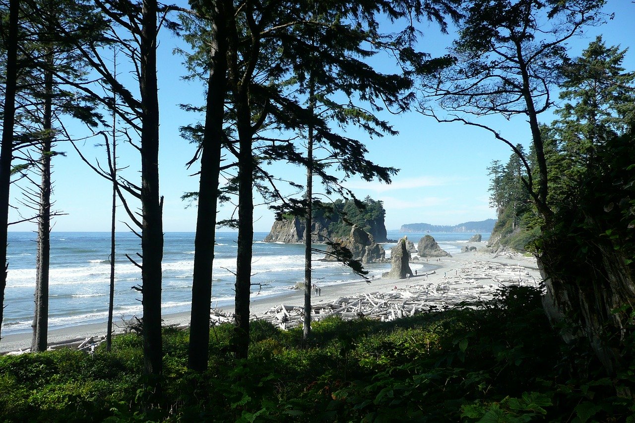 Olympic National Park To Seattle Airport travelcurious.com