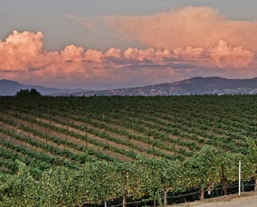 Temecula Valley, Los Angeles