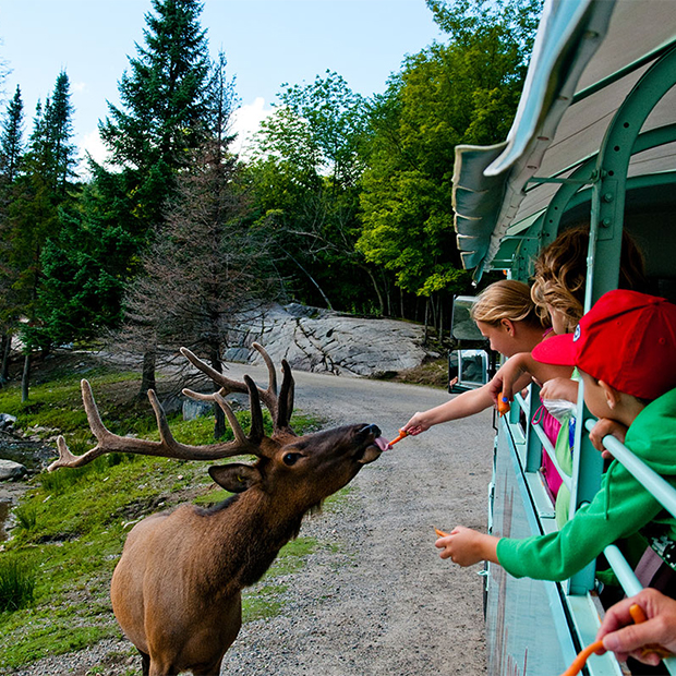 Parc Oméga Tourisme Outaouais Tourisme Outaouais