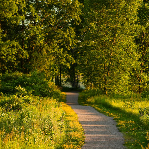 Camping Parc national de Plaisance Tourisme Outaouais Tourisme