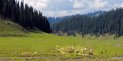 kupwara