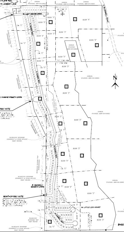 Saguaro Bloom 9 & 10 Final Plat — site plan or rendering