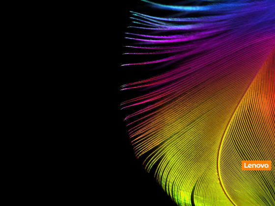 JIPO cover image
