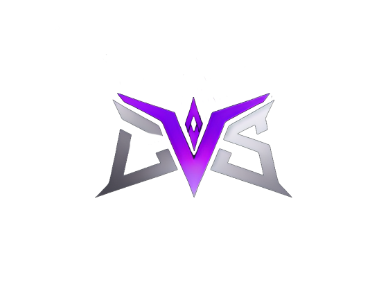 DVS cover image